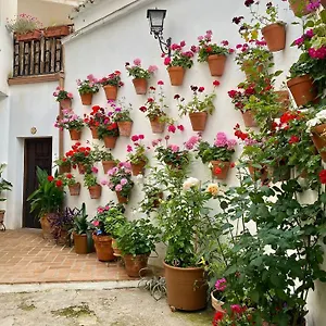  Appartement Amal Casa De Huespedes